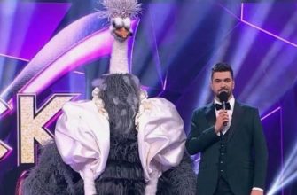Финал «Маски»: кто победит — Вождь или Сокол?