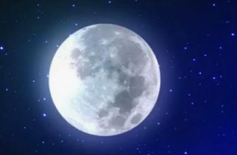 Фаза Луны сегодня, 26 октября 2025 года: взвешиваем котиков и строим планы