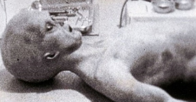 «Без органов пищеварения и без гениталий», - новый очевидец из Розуэлла описал пришельцев 2