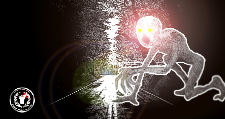 Бледный ползун: загадочные гуманоиды на четвереньках из Иллинойса