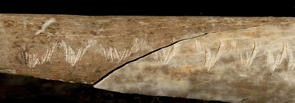 Древнейший житель Британии был чернокожим 1