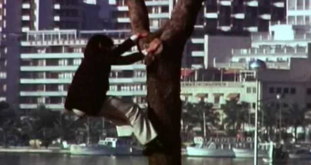 Испанский «Маугли», который 12 лет прожил в стае волков, хотел бы вернуться к ним снова 3