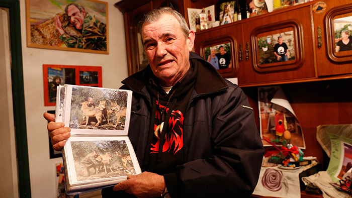 Испанский «Маугли», который 12 лет прожил в стае волков, хотел бы вернуться к ним снова 2