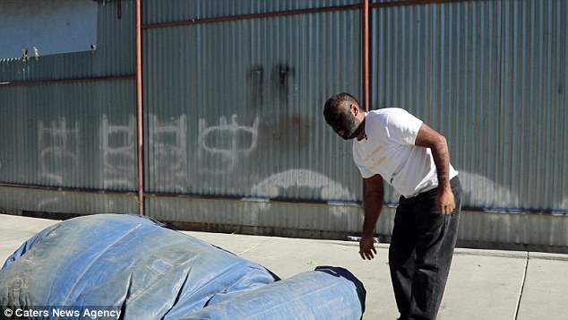 Ларри Гомес - самый волосатый человек на Земле 2