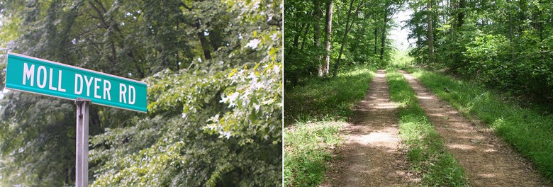 Легенда о ведьме Молл Дайер и ее проклятии 1