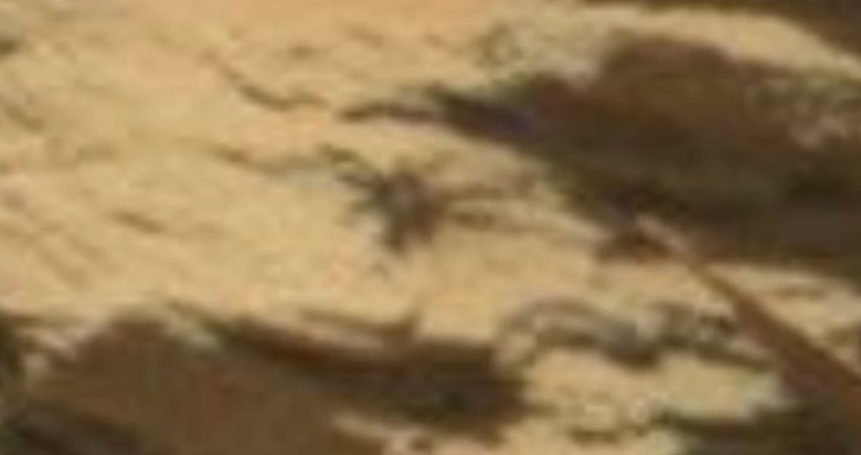 На марсианском фото от NASA высмотрели нечто, очень похожее на паука 1