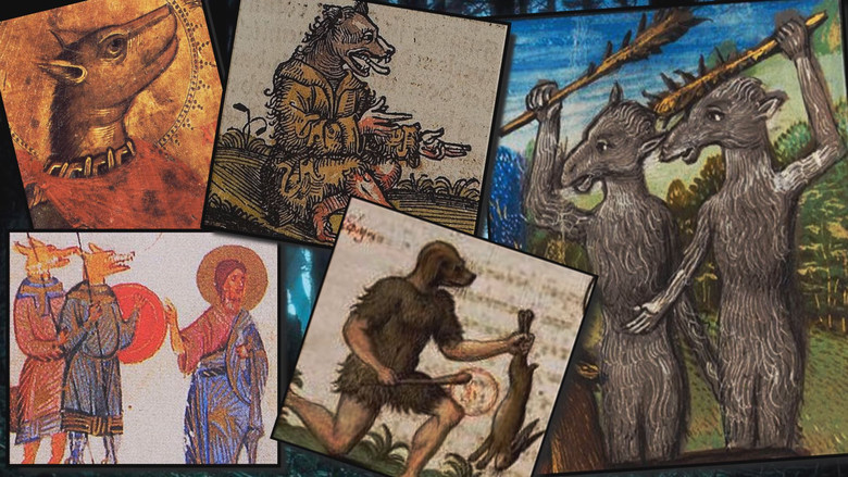 После этого я стала бояться темноты: Странные встречи с Собакочеловеком 1