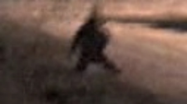 Сообщения о встречах с жуткими гномами в Центральной и Южной Америке 1