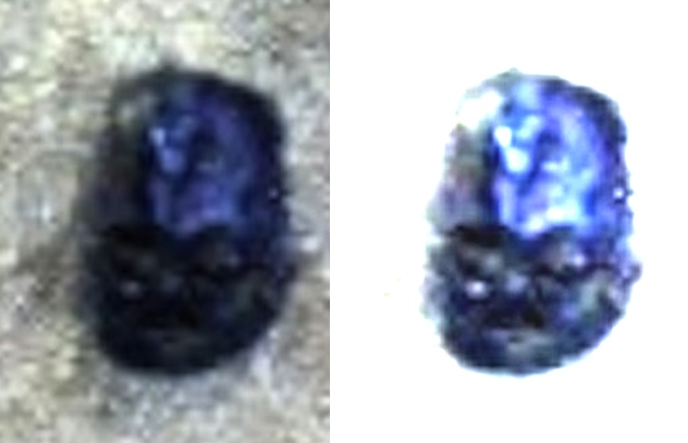 Странный марсианский камень похож на голову робота или Дарта Вейдера 1