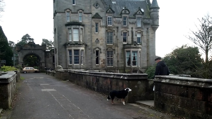 Загадка моста, с которого прыгают собаки. Влияние призраков или проклятие? 1