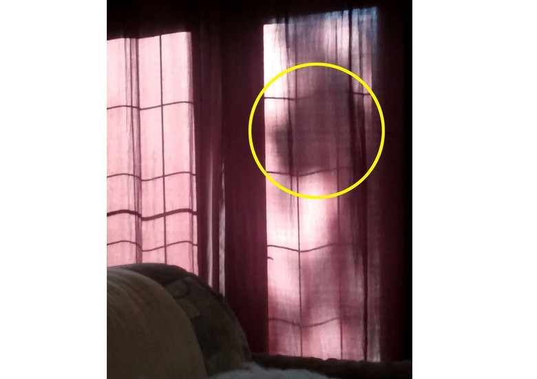 Женщина засняла в окне призрачный силуэт своей умершей собаки 1