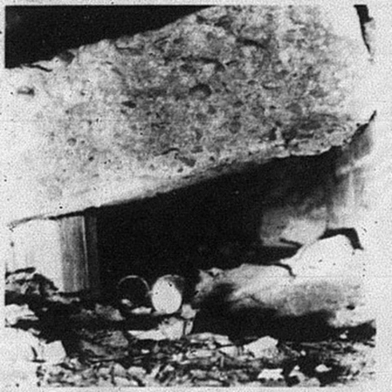 Жуткие столкновения с монстрами из туннелей: От говорящих обезьян до рептилоидов 1